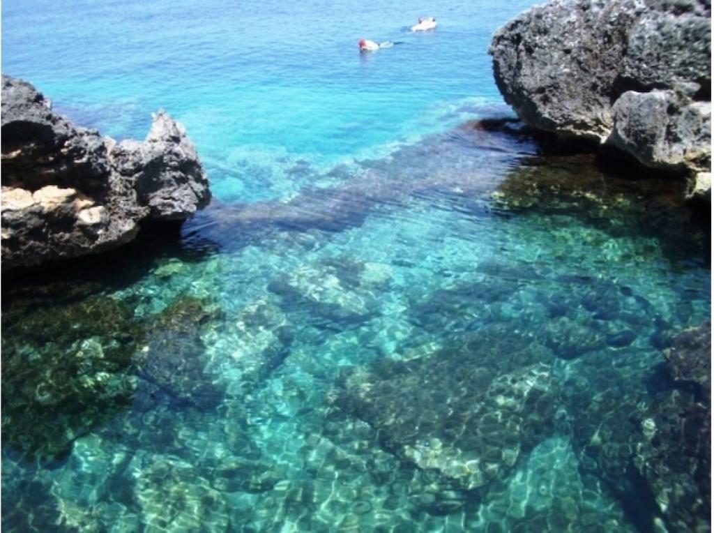 Agriturismo Le Fornelle Триказе Номер фото