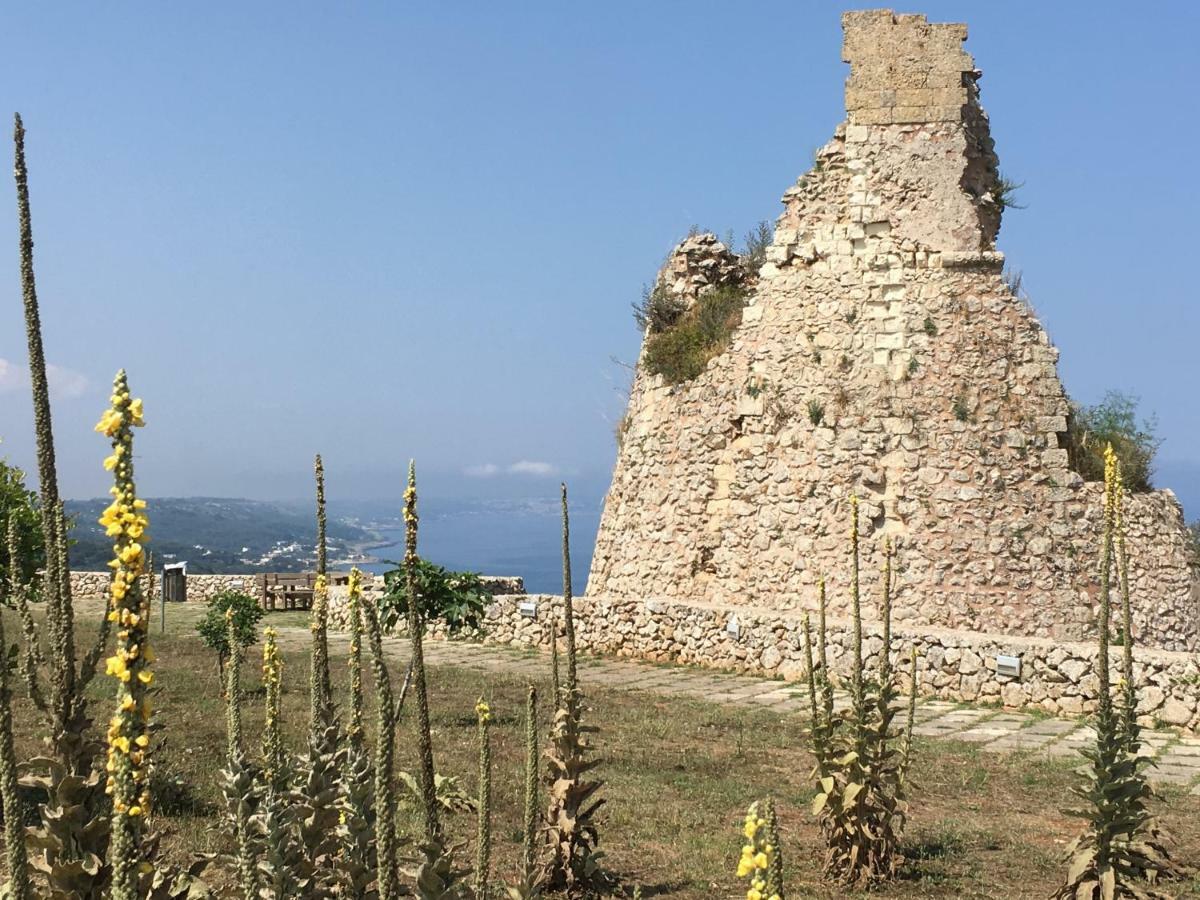 Agriturismo Le Fornelle Триказе Экстерьер фото